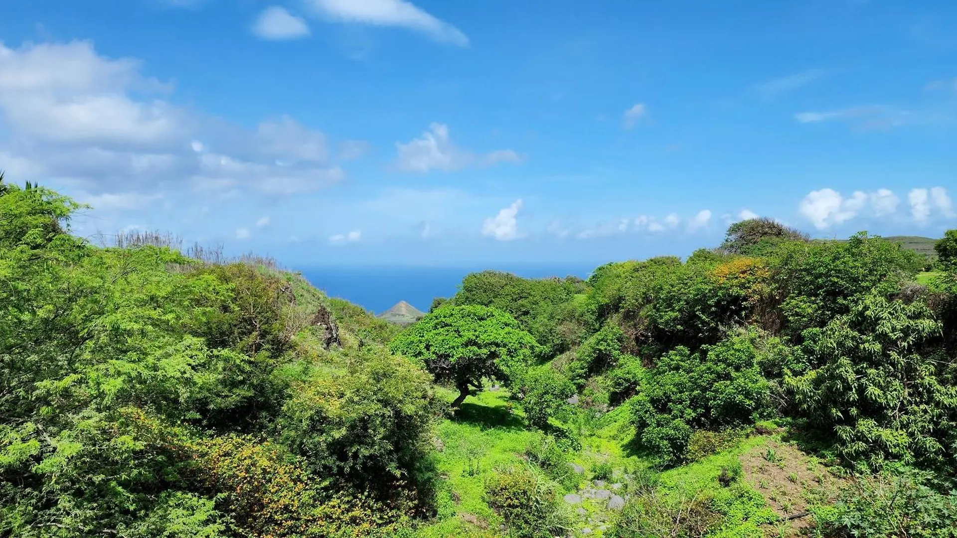 Holiday home Casinha Nova - Cozy Home With Kitchen, King Bed, Ac, Wifi, City & Ocean View Sao Filipe